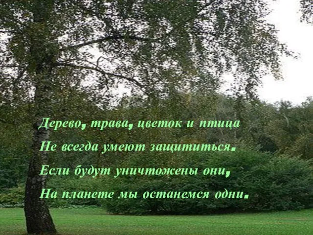 Дерево, трава, цветок и птица Не всегда умеют защититься. Если будут