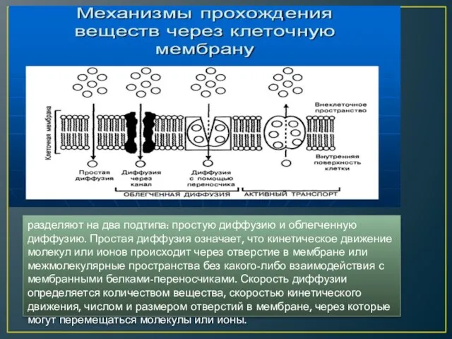 разделяют на два подтипа: простую диффузию и облегченную диффузию. Простая диффузия