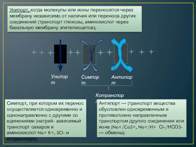 Унипорт Симпорт Антипорт Котранспорт Унипорт, когда молекулы или ионы переносятся через