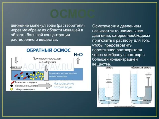 ОСМОС движение молекул воды (растворителя) через мембрану из области меньшей в