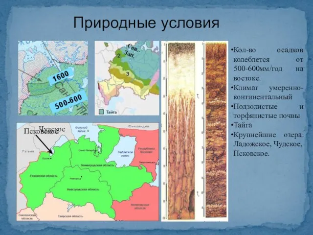 Природные условия Кол-во осадков колеблется от 500-600мм/год на востоке. Климат умеренно-континентальный