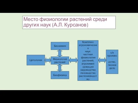 Место физиологии растений среди других наук (А.Л. Курсанов) Цитология Комплекс агрономических