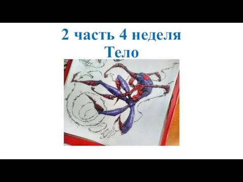 2 часть 4 неделя Тело