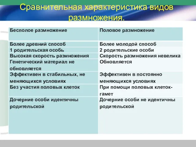 Сравнительная характеристика видов размножения.