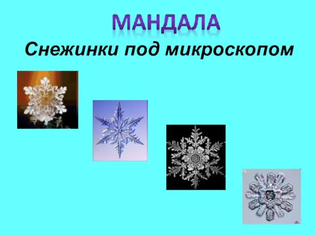 Снежинки под микроскопом