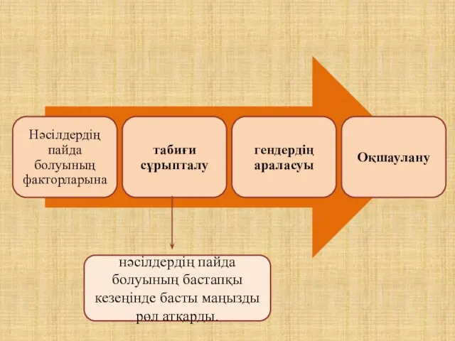 нәсілдердің пайда болуының бастапқы кезеңінде басты маңызды рөл атқарды.