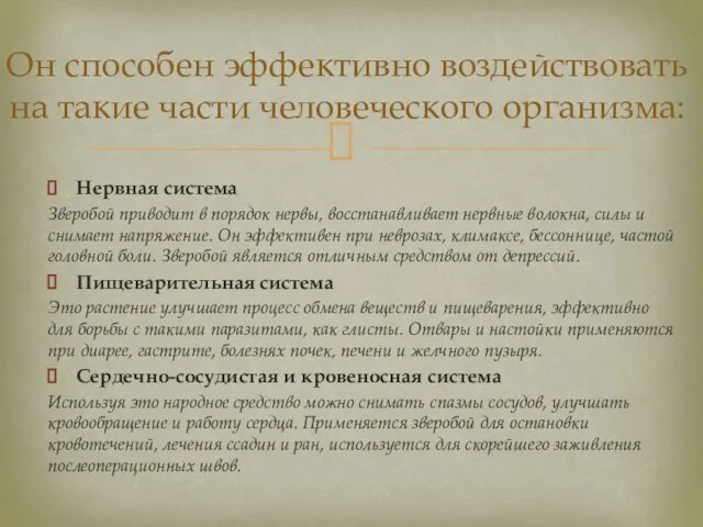 Нервная система Зверобой приводит в порядок нервы, восстанавливает нервные волокна, силы