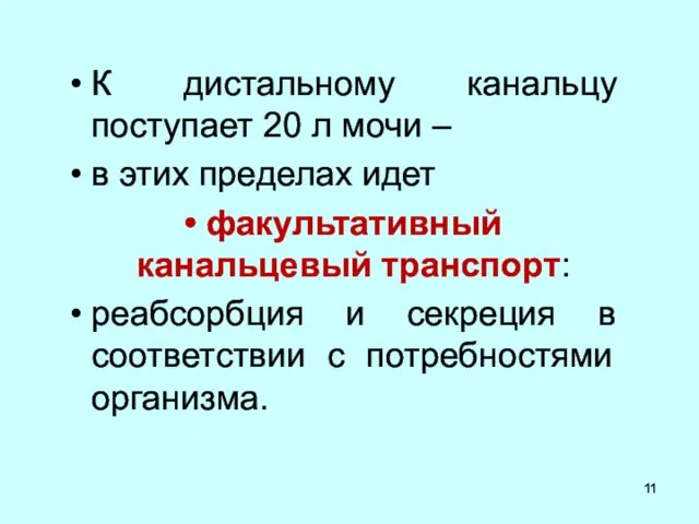 К дистальному канальцу поступает 20 л мочи – в этих пределах