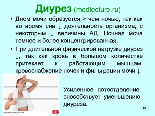 Диурез (medlecture.ru) Днем мочи образуется > чем ночью, так как во