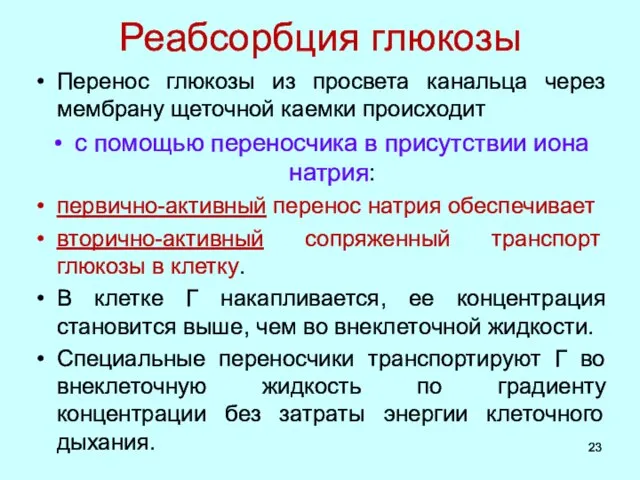 Реабсорбция глюкозы Перенос глюкозы из просвета канальца через мембрану щеточной каемки