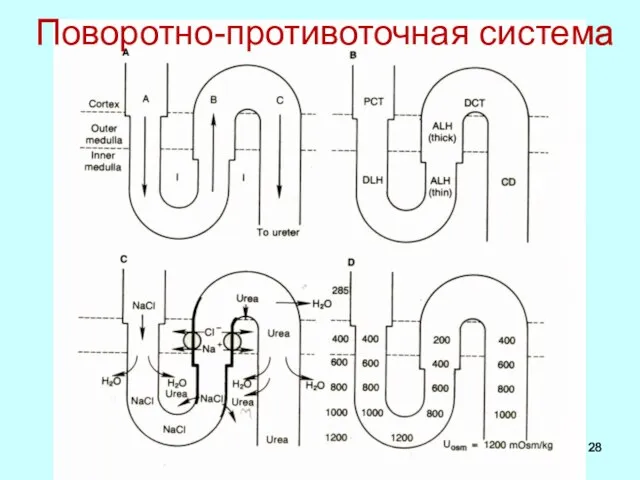 Поворотно-противоточная система