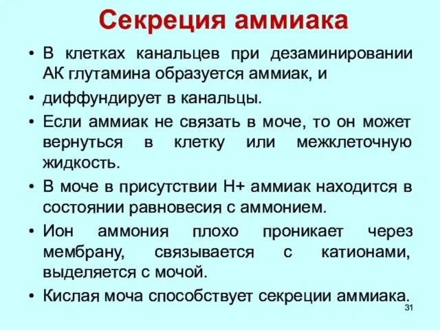 Секреция аммиака В клетках канальцев при дезаминировании АК глутамина образуется аммиак,