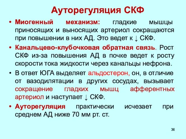 Ауторегуляция СКФ Миогенный механизм: гладкие мышцы приносящих и выносящих артериол сокращаются