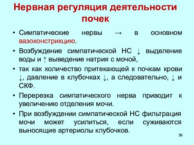 Нервная регуляция деятельности почек Симпатические нервы → в основном вазоконстрикцию. Возбуждение