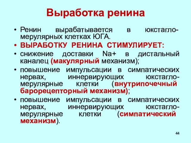 Выработка ренина Ренин вырабатывается в юкстагло-мерулярных клетках ЮГА. ВЫРАБОТКУ РЕНИНА СТИМУЛИРУЕТ: