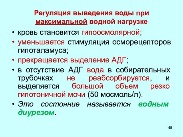 Регуляция выведения воды при максимальной водной нагрузке кровь становится гипоосмолярной; уменьшается