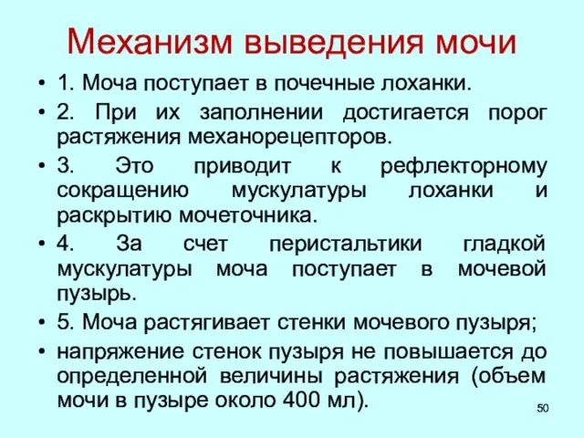 Механизм выведения мочи 1. Моча поступает в почечные лоханки. 2. При