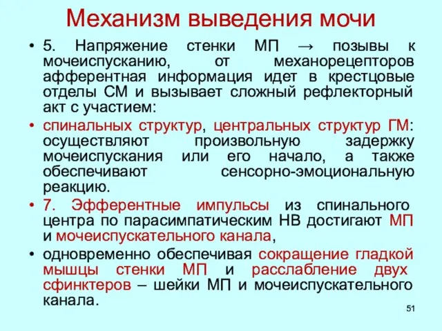 Механизм выведения мочи 5. Напряжение стенки МП → позывы к мочеиспусканию,