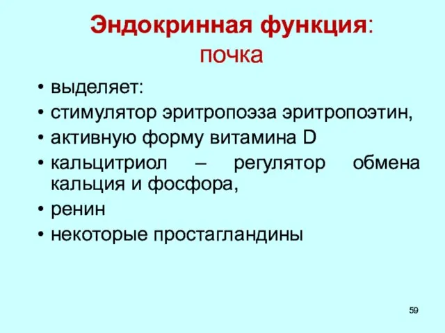 выделяет: стимулятор эритропоэза эритропоэтин, активную форму витамина D кальцитриол – регулятор