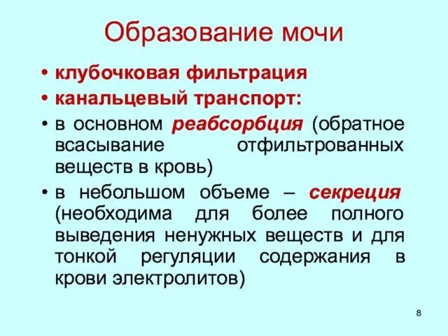 Образование мочи клубочковая фильтрация канальцевый транспорт: в основном реабсорбция (обратное всасывание