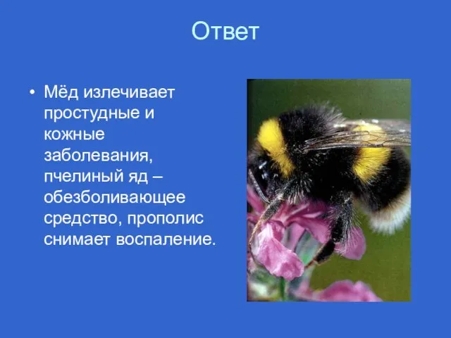 Ответ Мёд излечивает простудные и кожные заболевания, пчелиный яд – обезболивающее средство, прополис снимает воспаление.