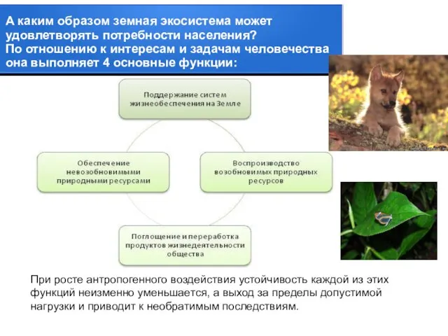 А каким образом земная экосистема может удовлетворять потребности населения? По отношению