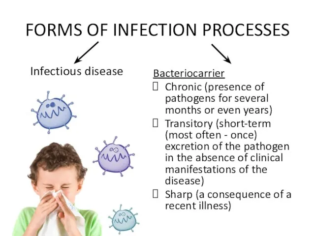 FORMS OF INFECTION PROCESSES Infectious disease Bacteriocarrier Chronic (presence of pathogens