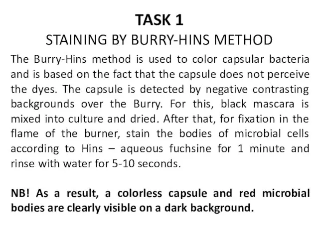 TASK 1 STAINING BY BURRY-HINS METHOD The Burry-Hins method is used