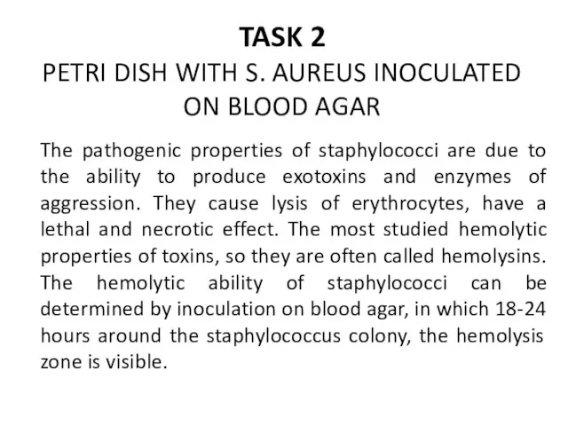TASK 2 PETRI DISH WITH S. AUREUS INOCULATED ON BLOOD AGAR