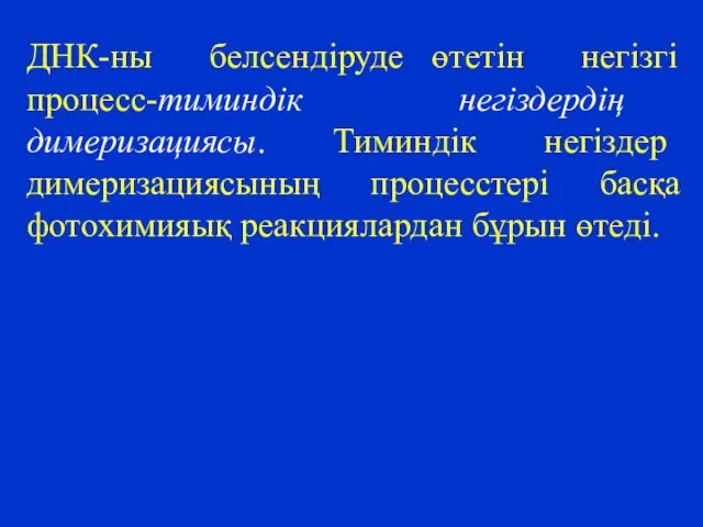 ДНК-ны белсендіруде өтетін негізгі процесс-тиминдік негіздердің димеризациясы. Тиминдік негіздер димеризациясының процесстері басқа фотохимияық реакциялардан бұрын өтеді.