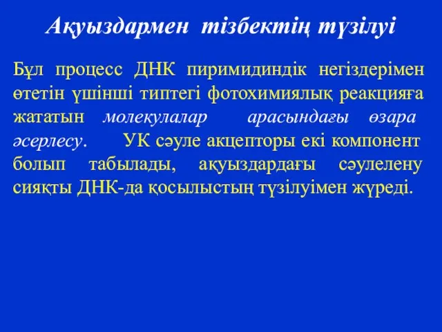 Ақуыздармен тізбектің түзілуі Бұл процесс ДНК пиримидиндік негіздерімен өтетін үшінші типтегі