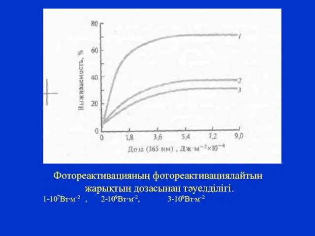 Фотореактивацияның фотореактивациялайтын жарықтың дозасынан тәуелділігі. 1-107Вт∙м-2 , 2-109Вт∙м-2, 3-109Вт∙м-2