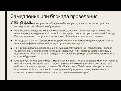 Замедление или блокада проведения импульса. Распространение импульса возбуждения блокируется, если он