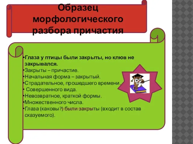 Глаза у птицы были закрыты, но клюв не закрывался. Закрыты –