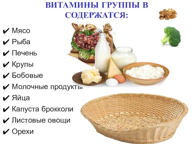 ВИТАМИНЫ ГРУППЫ В СОДЕРЖАТСЯ: Мясо Рыба Печень Крупы Бобовые Молочные продукты