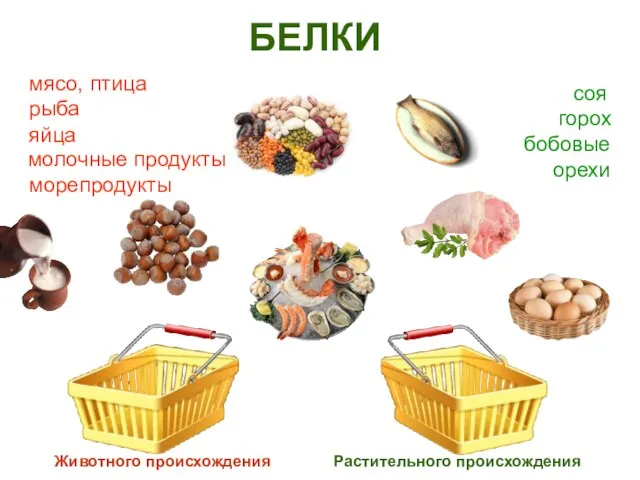 Животного происхождения Растительного происхождения мясо, птица рыба яйца молочные продукты морепродукты соя горох бобовые орехи БЕЛКИ