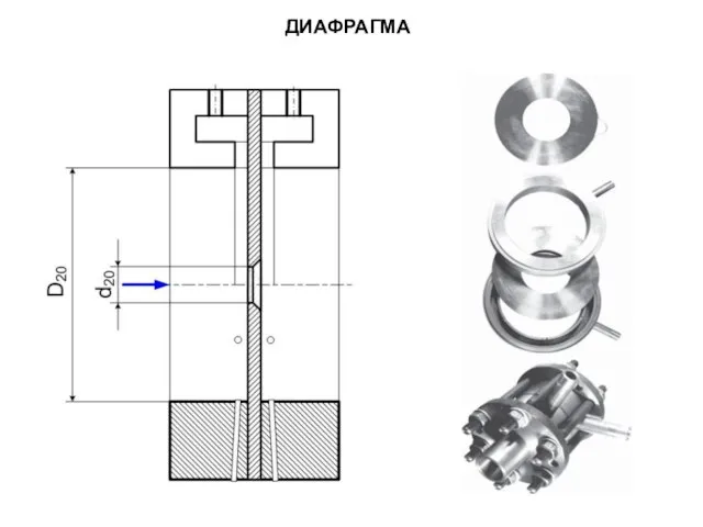 ДИАФРАГМА