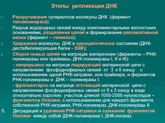 Этапы репликации ДНК Раскручивание супервитков молекулы ДНК (фермент топоизомераза). Разрыв водородных