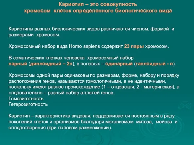 Кариотипы разных биологических видов различаются числом, формой и размерами хромосом. Хромосомный