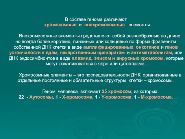 В составе генома различают хромосомные и внехромосомные элементы. Внехромосомные элементы представляют