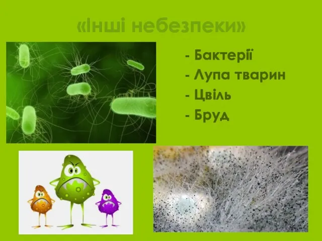 «Інші небезпеки» - Бактерії - Лупа тварин - Цвіль - Бруд