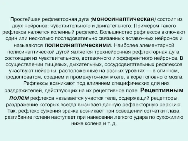 Простейшая рефлекторная дуга (моносинаптическая) состоит из двух нейронов: чувствительного и двигательного.