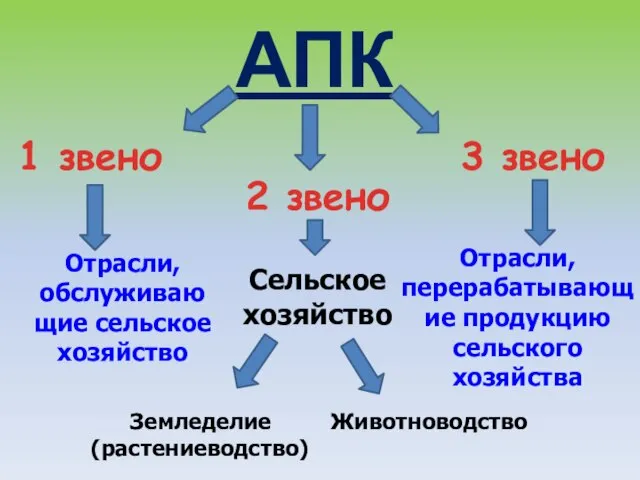 АПК 1 звено 2 звено 3 звено Отрасли, обслуживаю щие сельское