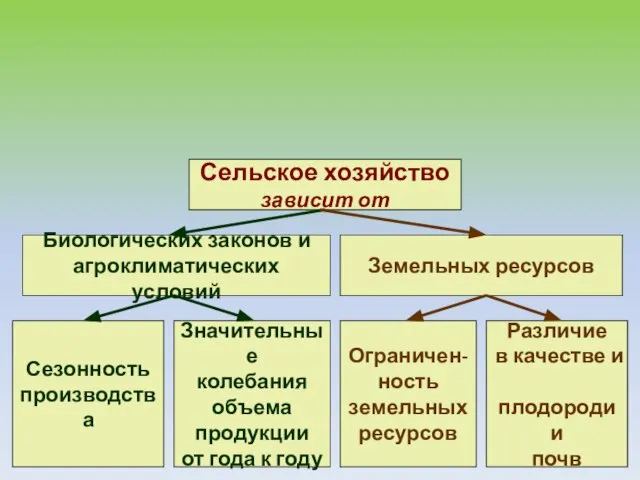 Особенности сельского хозяйства Сельское хозяйство зависит от Биологических законов и агроклиматических