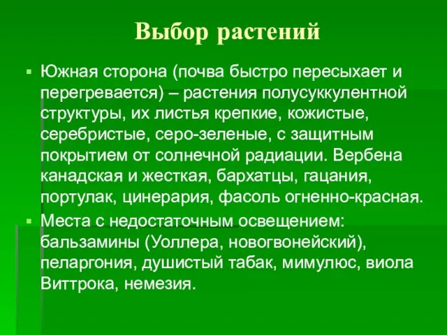 Выбор растений Южная сторона (почва быстро пересыхает и перегревается) – растения