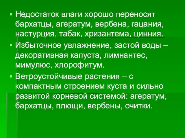 Недостаток влаги хорошо переносят бархатцы, агератум, вербена, гацания, настурция, табак, хризантема,