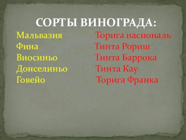 СОРТЫ ВИНОГРАДА: Мальвазия Торига насиональ Фина Тинта Рориш Виосиньо Тинта Баррока