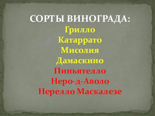 СОРТЫ ВИНОГРАДА: Грилло Катаррато Мисолия Дамаскино Пиньятелло Неро-д-Аволо Нерелло Маскалезе