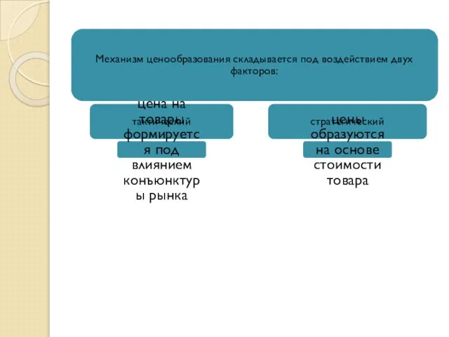 Механизм ценообразования складывается под воздействием двух факторов: тактический цена на товары