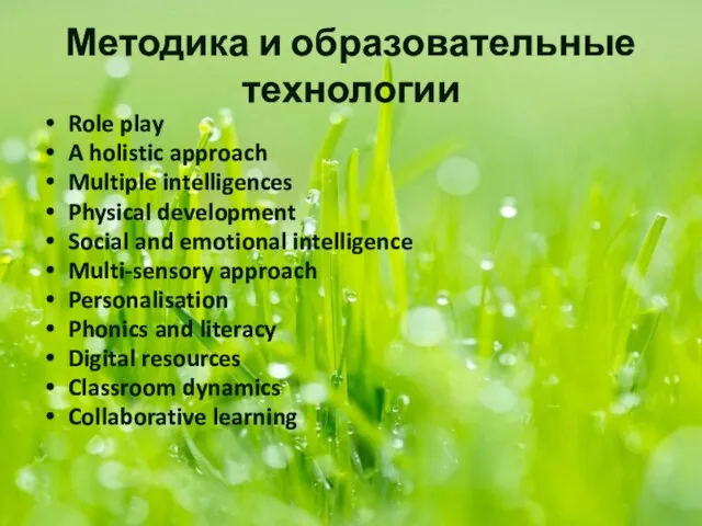 Методика и образовательные технологии Role play A holistic approach Multiple intelligences